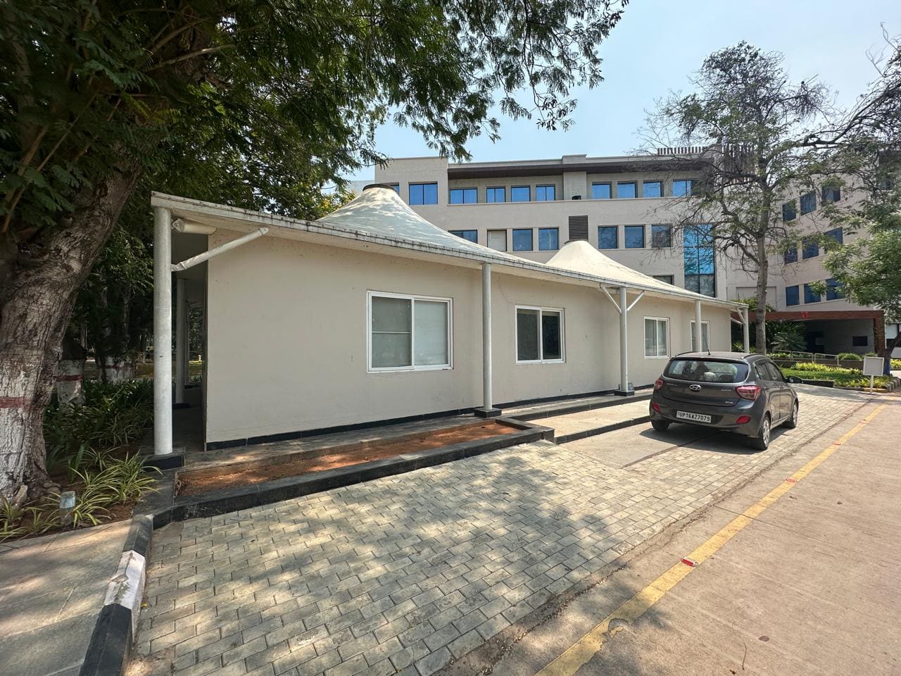 Building Back